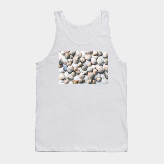 Seashells in Pastel Tones Tank Top by Amy-K-Mitchell